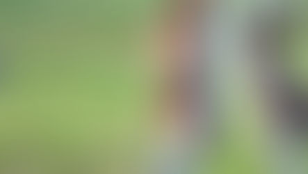 Advanced Macropod Course 2023-24