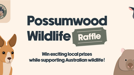 Enter our raffle 🎉